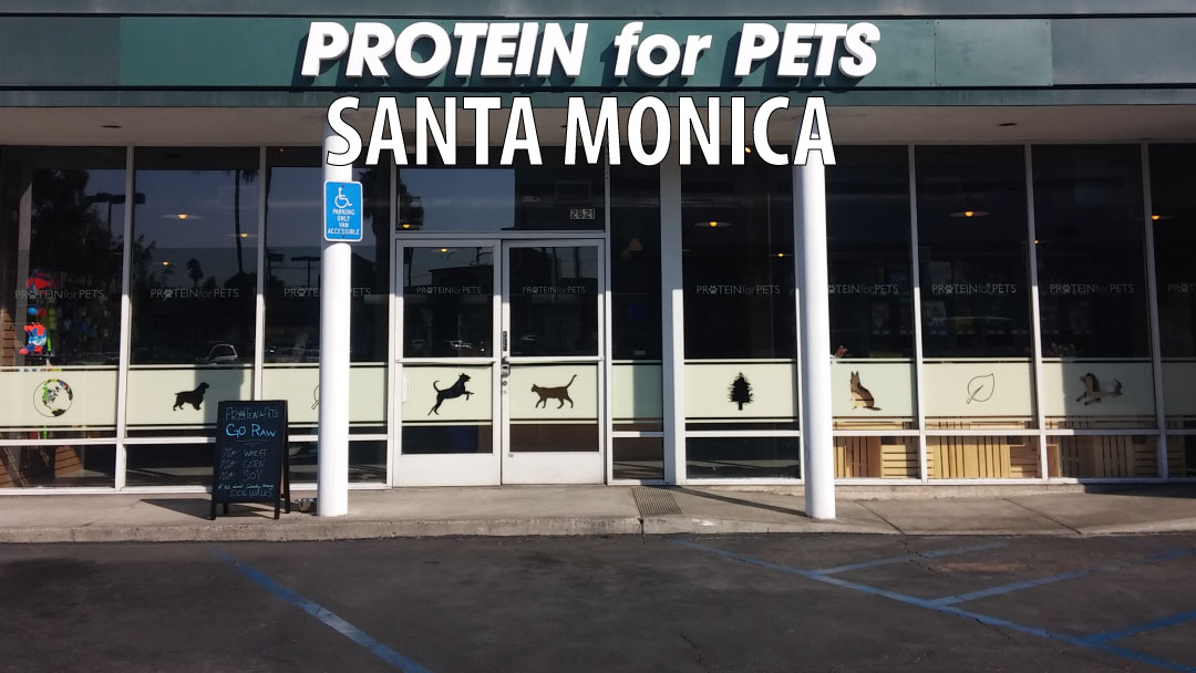 Protein for Pets