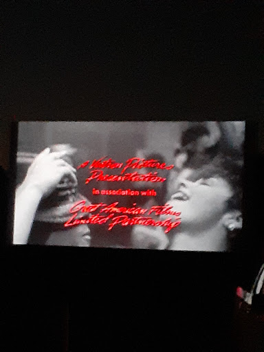 Drive-in Movie Theater «Stone Drive-In Theatre», reviews and photos, 808 Theatre Ln, Mountain View, AR 72560, USA