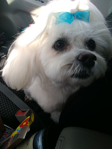 Knife River Veterinary Clinic image