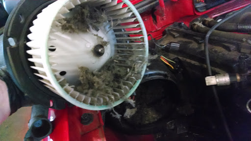 Auto Repair Shop «Autotech NW», reviews and photos, 203 N Molalla Ave, Molalla, OR 97038, USA