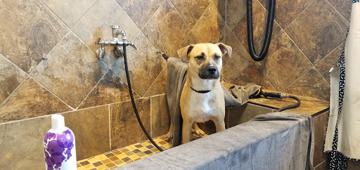 Pet Supply Store «Pet Valu», reviews and photos, 74 Pershing Dr, Derby, CT 06418, USA