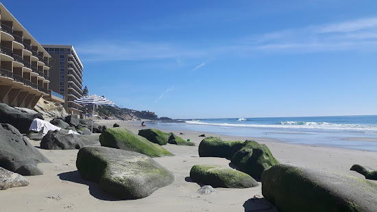 Bluebird beach
