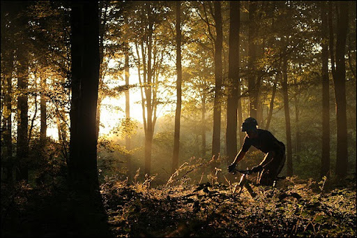 Bicycle Store «Hastings Velo», reviews and photos, 45 Main St, Hastings-On-Hudson, NY 10706, USA