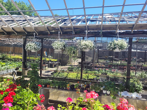 Plant Nursery «Goldner Walsh Garden and Home», reviews and photos, 559 Orchard Lake Rd, Pontiac, MI 48341, USA