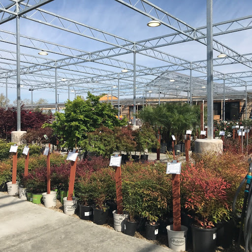 Green Acres Nursery & Supply l Citrus Heights