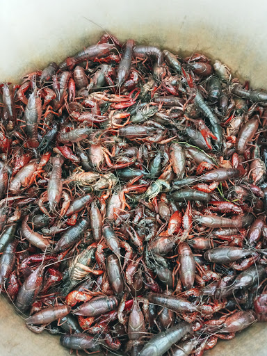 Grocery Store «Green Farm Market», reviews and photos, 2301 W Rosecrans Ave, Gardena, CA 90249, USA