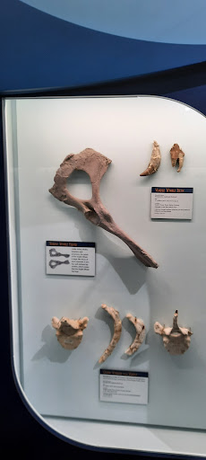 Museum «Museum», reviews and photos, 2142 Southern Dr, Statesboro, GA 30458, USA