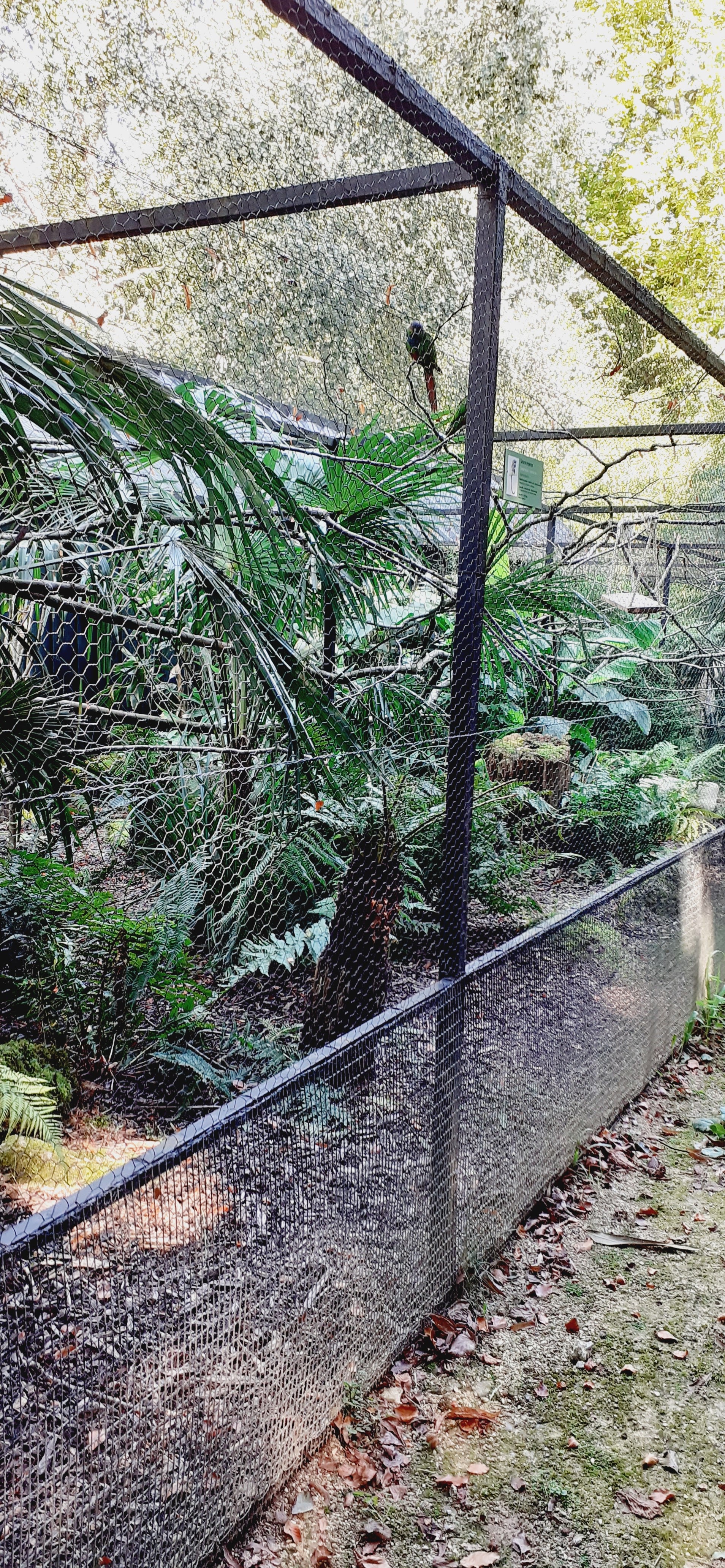 Photo n° 2 de l'avis de Sylvie.a fait le 11/09/2023 à 05:28