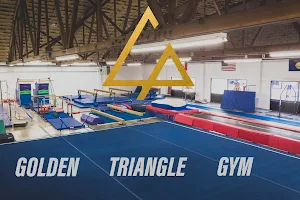 Golden Triangle Gym image