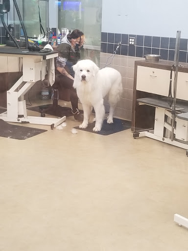 Pet Supply Store «Petco Animal Supplies», reviews and photos, 1619 SE Ensign Ln, Warrenton, OR 97146, USA