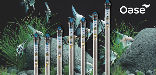 Aquarium «Neptunes Aquariums», reviews and photos, 5329 W 20th Ave, Hialeah, FL 33012, USA