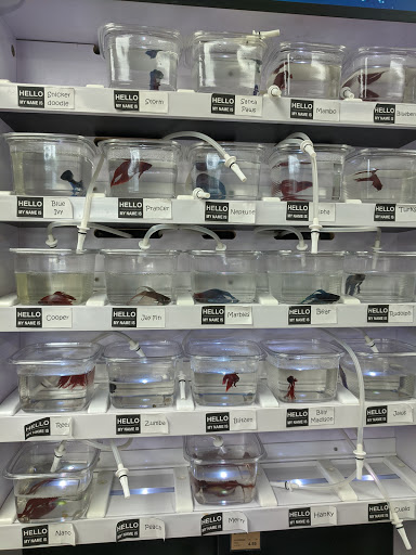 Pet Store «Pet Valu», reviews and photos, 40 Washington Ave, Dumont, NJ 07628, USA