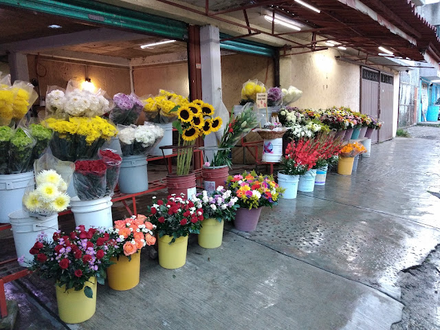 Florería Los Cipreses