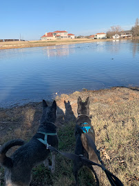Paws n Tails Pet Services LLC - Photo 1 - Car repair in , Garland