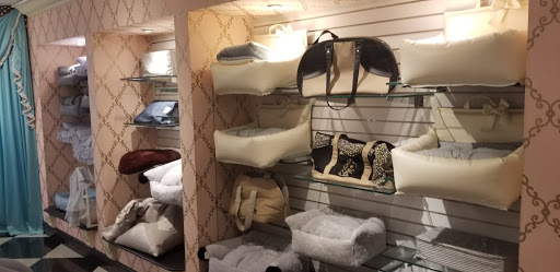 Pet Store «Puppy Boutique Store», reviews and photos, 4001 N Federal Hwy, Fort Lauderdale, FL 33308, USA