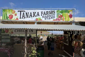 Tanaka Farms image