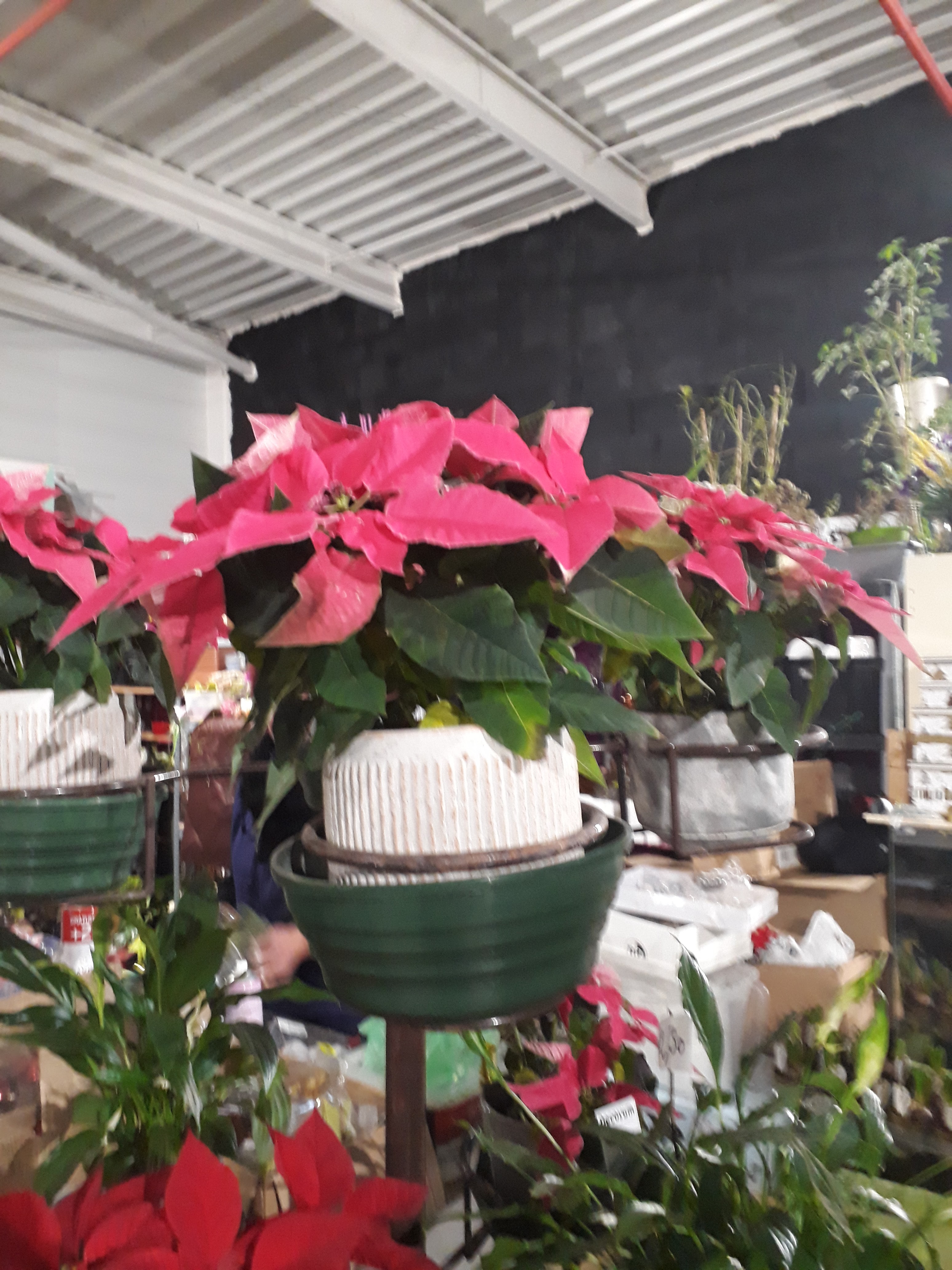 Photo n° 7 de l'avis de Emmanuelle.a fait le 11/12/2019 à 18:25