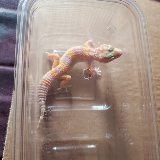 Pet Supply Store «PetSmart», reviews and photos, 5857 NJ-42, Turnersville, NJ 08012, USA