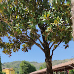 Photo n°5 de l'avis de Rosalba.e fait le 18/08/2021 à 14:37 sur le  Rossi Ristorante à Arrone