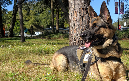 Community Center «University Area Community Center», reviews and photos, 14013 N 22nd St, Tampa, FL 33613, USA