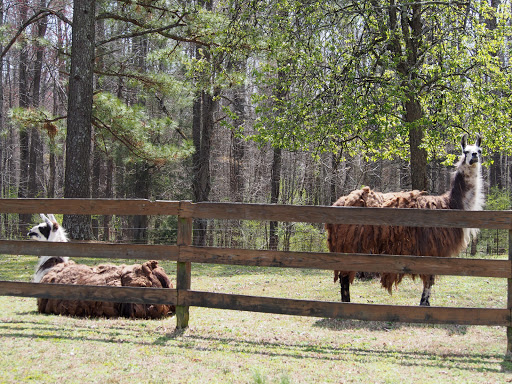 Grocery Store «Saxapahaw General Store», reviews and photos, 1735 Saxapahaw-Bethlehem Church Rd, Saxapahaw, NC 27340, USA