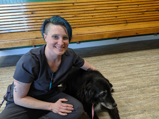 Sheridan Road Veterinary Clinic image