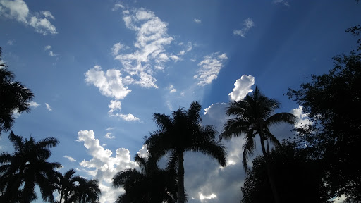 Park «Olympic Park», reviews and photos, 8601 SW 152nd Ave, Miami, FL 33193, USA