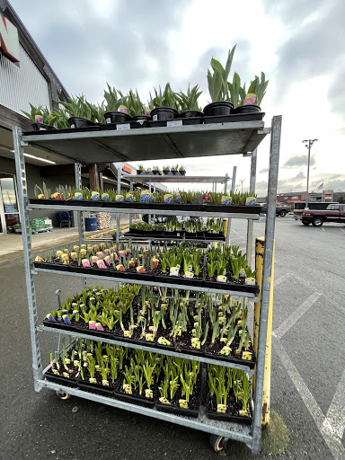 Hardware Store «McLendon Hardware», reviews and photos, 1015 N Pearl St, Tacoma, WA 98406, USA