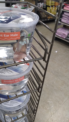 Pet Supply Store «Petco Animal Supplies», reviews and photos, 157-20 Cross Bay Blvd, Howard Beach, NY 11414, USA