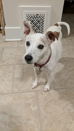 Pet Supply Store «Thomaston Feed», reviews and photos, 141 Watertown Rd, Thomaston, CT 06787, USA