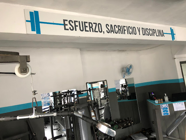 Up Training GYM - Gimnasio