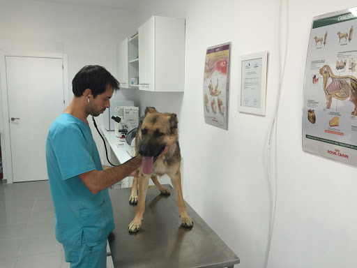 Clínica Veterinaria La Cornisa en Las Rozas de Madrid