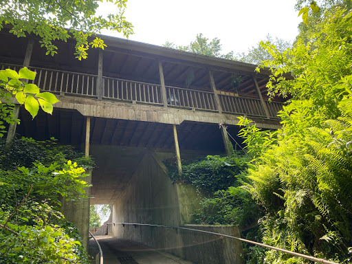 Tourist Attraction «Bluespring Caverns Park», reviews and photos, 1459 Blue Springs Cavern Rd, Bedford, IN 47421, USA