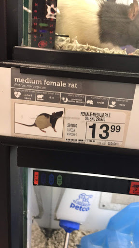 Pet Supply Store «Petco Animal Supplies», reviews and photos, 308 E Meighan Blvd, Gadsden, AL 35903, USA