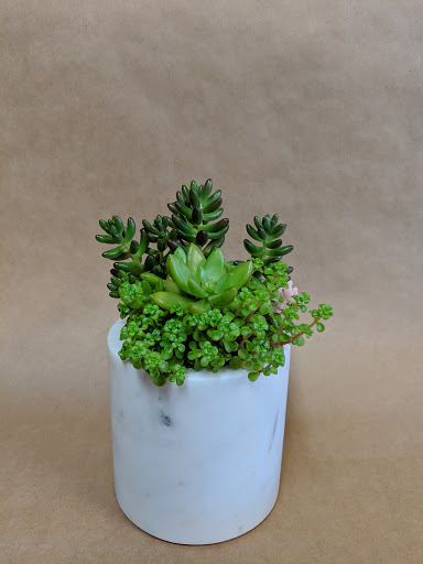 Florist «Mercer Island Florist», reviews and photos, 3006 78th Ave SE, Mercer Island, WA 98040, USA