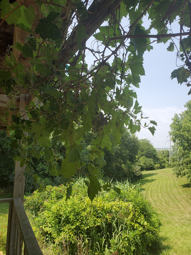 Winery «Summerset Winery», reviews and photos, 15101 Fairfax St, Indianola, IA 50125, USA
