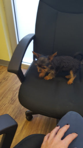 Pet Store «Petland Hilliard», reviews and photos, 5253 Nike Dr, Hilliard, OH 43026, USA