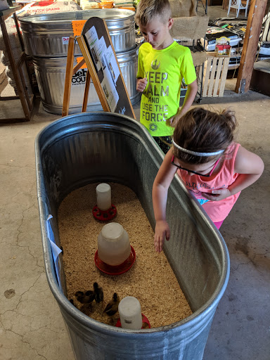 Animal Feed Store «Old Mcgowans Feed», reviews and photos, 398 W Lathrop Rd, Manteca, CA 95336, USA