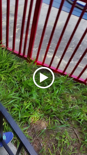 Shopping Mall «Looney Tunes Mall - Six Flags Over Texas», reviews and photos, 2201 E Road to Six Flags St, Arlington, TX 76011, USA