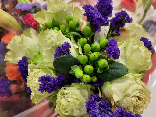 Department Store «Target», reviews and photos, 417 Boardman Poland Rd, Boardman, OH 44512, USA