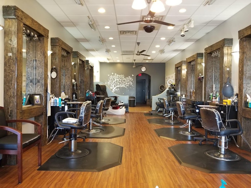 Salon 3:16 65721