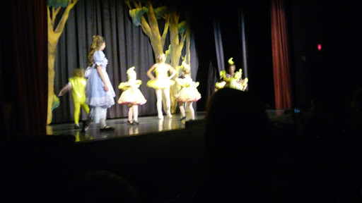 Performing Arts Theater «Peninsula Community Theatre», reviews and photos, 10251 Warwick Blvd, Newport News, VA 23601, USA