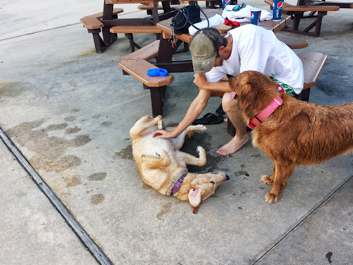 Park «North Charleston Wannamaker County Park», reviews and photos, 8888 University Blvd, North Charleston, SC 29406, USA