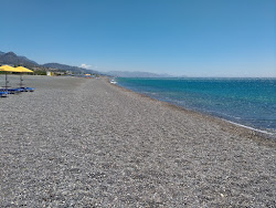Koutsounari Long beach'in fotoğrafı ve güzel manzarası