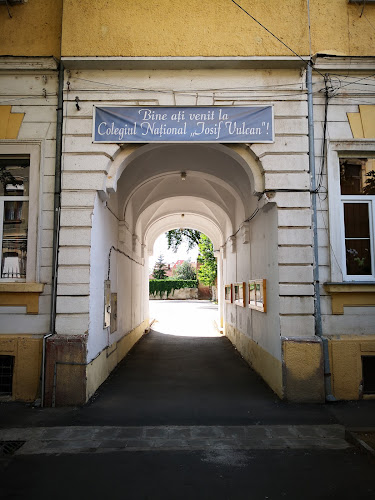 Comentarii opinii despre Colegiul Național "Iosif Vulcan"
