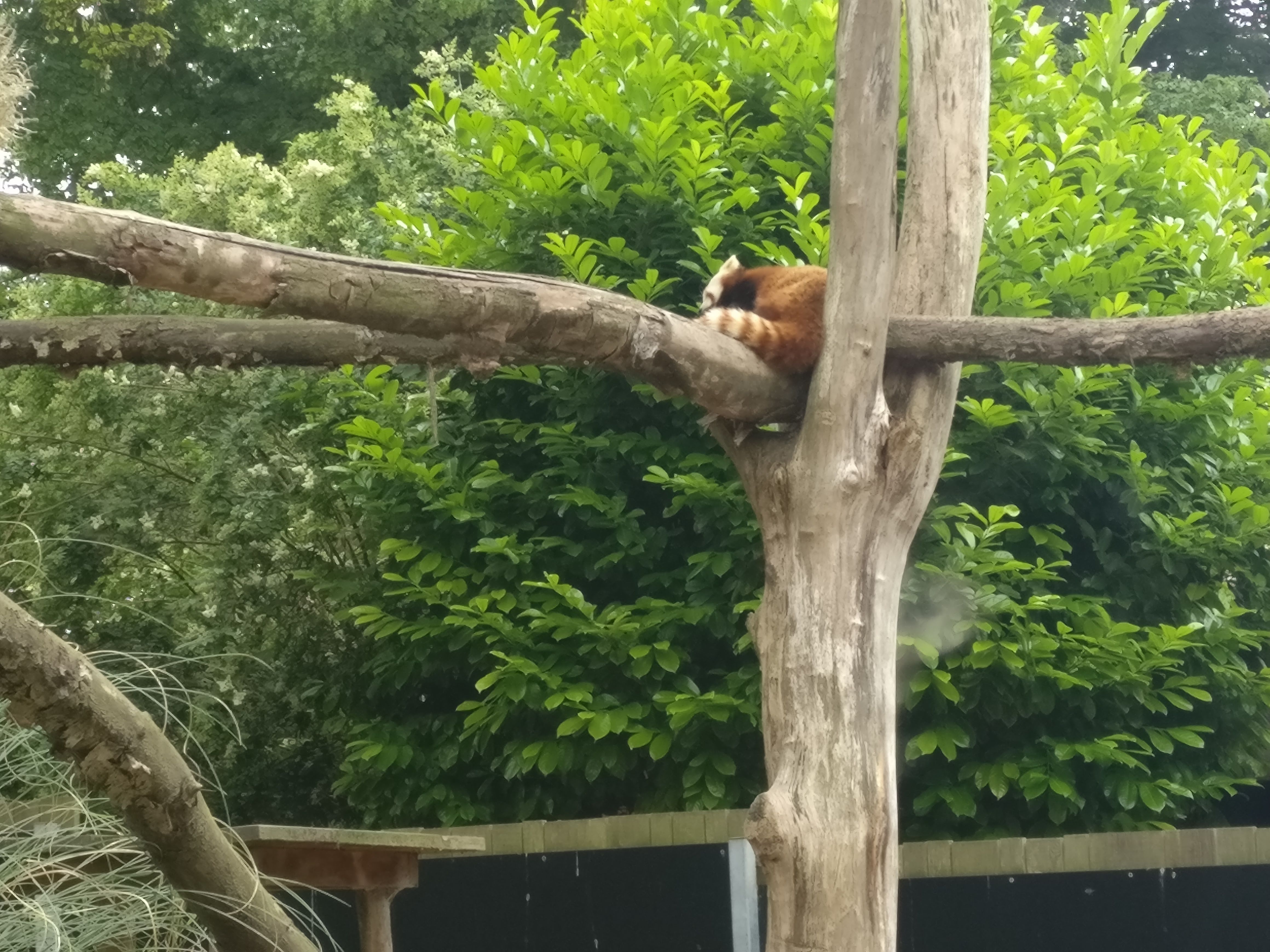 Photo n° 8 de l'avis de Alexia.o fait le 13/08/2018 à 09:32