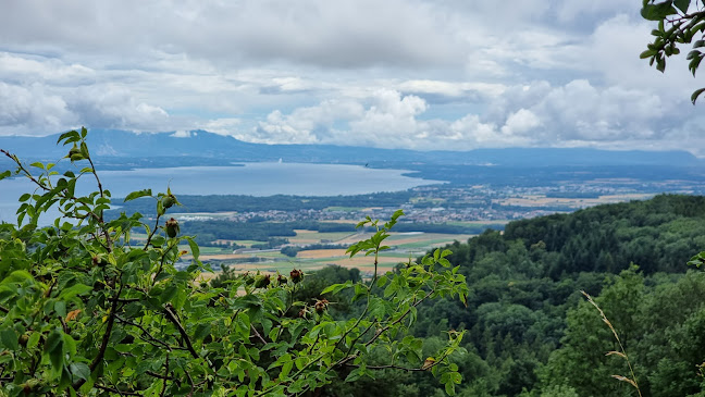 Signal De Bougy - Lausanne