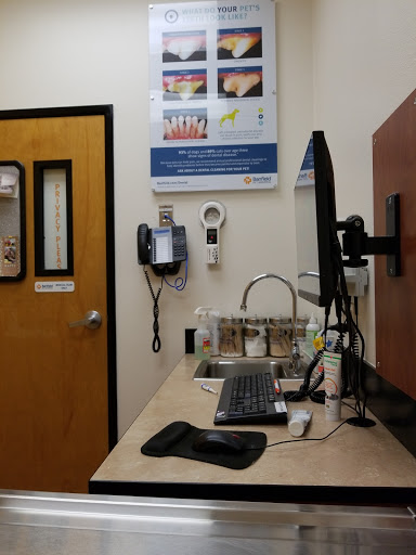 Pet Supply Store «PetSmart», reviews and photos, 2255 Pine Ridge Rd, Naples, FL 34109, USA