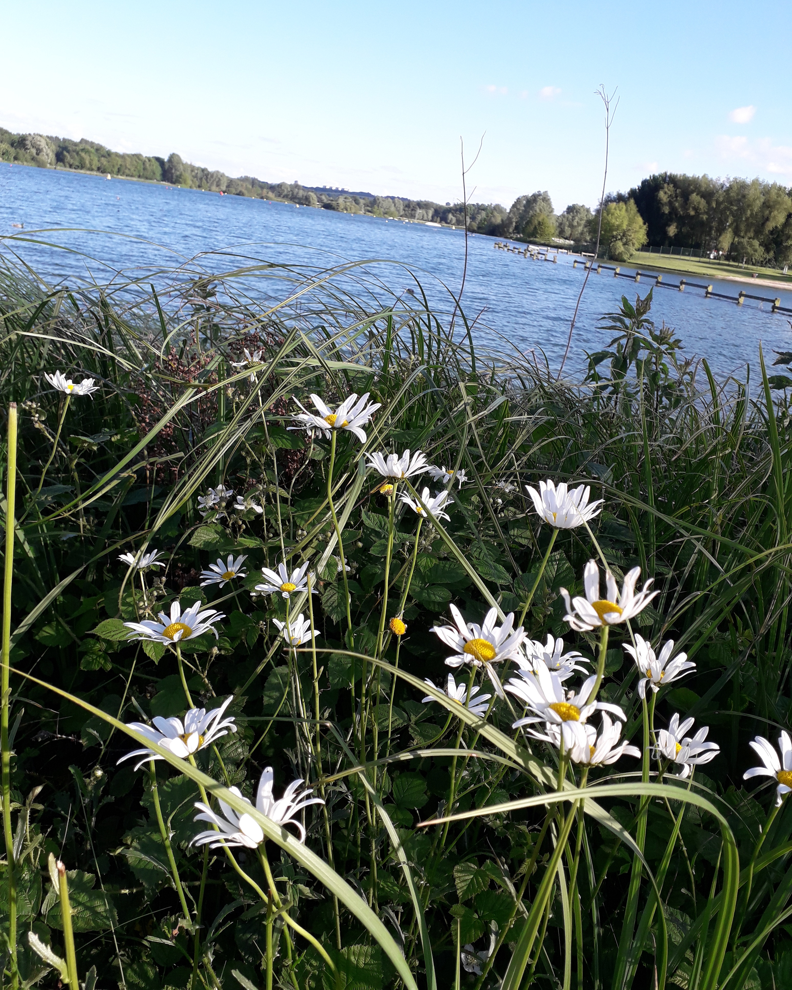 Photo n° 3 de l'avis de Aurélie.a fait le 16/06/2019 à 06:59