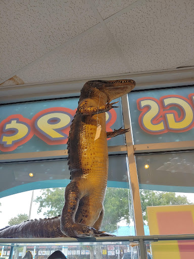 Gift Shop «Mermaid», reviews and photos, 7511 W Irlo Bronson Memorial Hwy, Kissimmee, FL 34747, USA